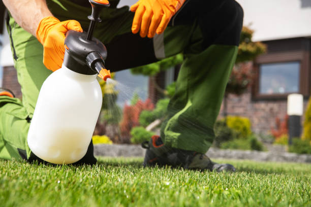 Best Termite Control Services  in Clemmons, NC