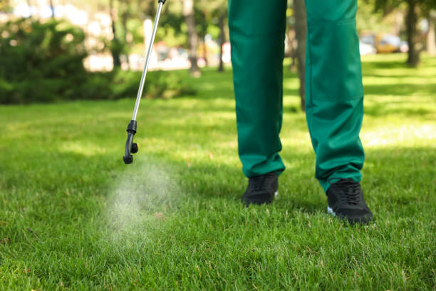 Best Affordable Pest Control Services  in Clemmons, NC