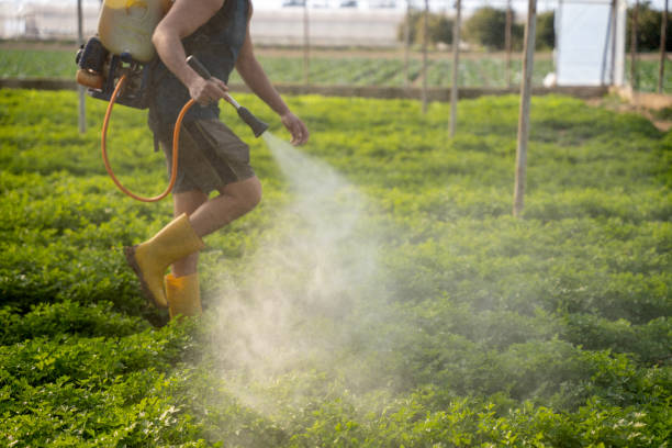 Best Best Pest Control Companies  in Clemmons, NC