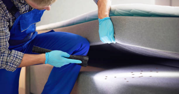 Best Commercial Pest Control Services  in Clemmons, NC