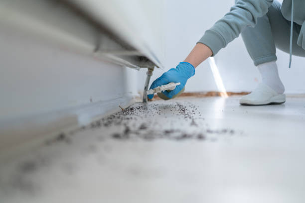 Best Wildlife Control Services  in Clemmons, NC